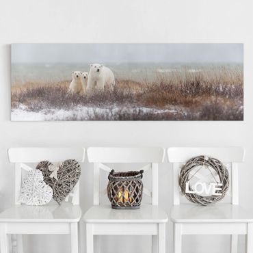 Stampa su tela - Orso polare e suoi cuccioli - Panoramico