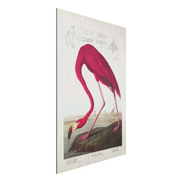 Stampa su alluminio spazzolato - Flamingo Consiglio American Vintage - Verticale 3:2