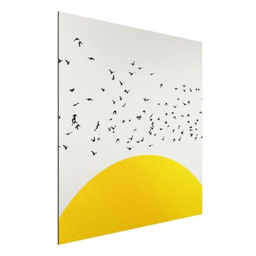 Aluminium Print - Vogelschwarm vor gelber Sonne - Quadrat 1:1