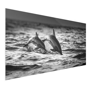 Quadro in forex - Due delfini che saltano - Orizzontale 2:1