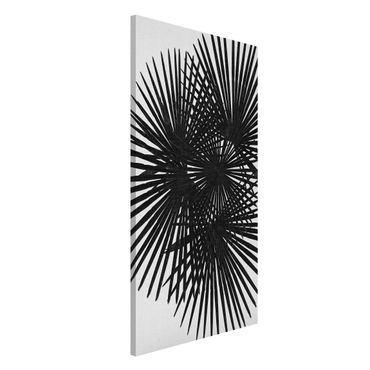 Lavagna magnetica - Foglie di palma in bianco e nero