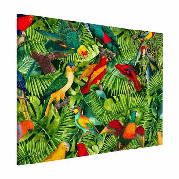 Lavagna magnetica - Colorato collage - Parrot In The Jungle - Formato orizzontale 3:4
