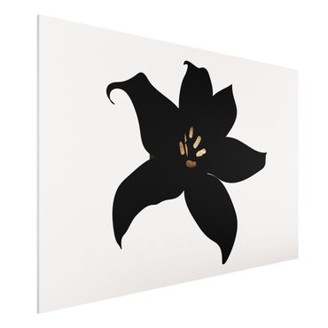 Stampa su Forex - Mondo vegetale grafico - Orchidea in nero e oro - Orizzontale 2:3