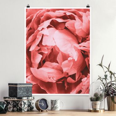 Poster - Peony di corallo del fiore - Verticale 4:3