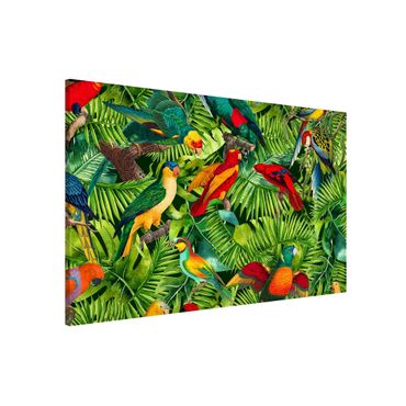 Lavagna magnetica - Colorato collage - Parrot In The Jungle - Formato orizzontale 3:2