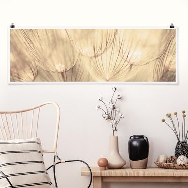Poster - Dandelions close-up in tonalità seppia casalinga - Panorama formato orizzontale