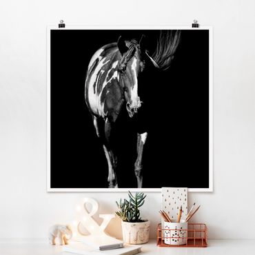 Poster - Cavallo In The Dark - Quadrato 1:1