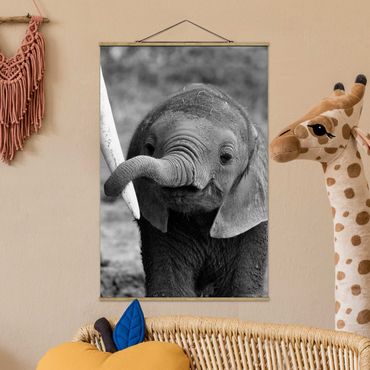 Foto su tessuto da parete con bastone - baby Elephant - Verticale 3:2