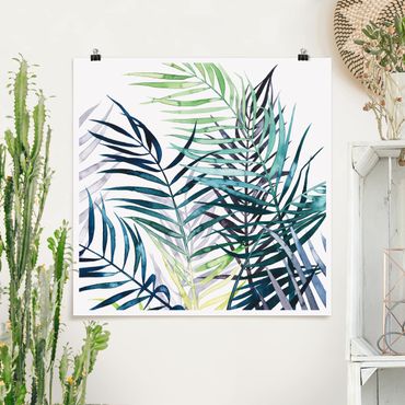 Poster - Exotic Foliage - Palm - Quadrato 1:1