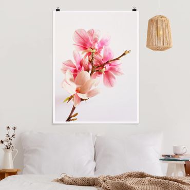 Poster - fiori di magnolia - Verticale 4:3