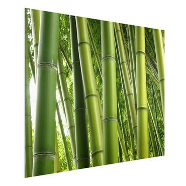 Quadro in forex - Bamboo Trees No.1 - Orizzontale 4:3