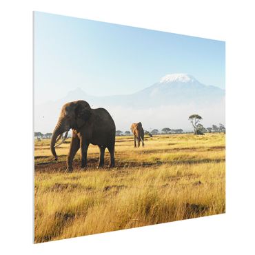 Quadro in forex - Elephants in front of the Kilimanjaro in Kenya - Orizzontale 4:3