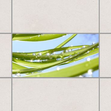 Adesivo per piastrelle - Fresh Green 30cm x 60cm