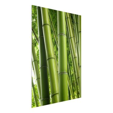 Quadro in forex - Bamboo Trees No.1 - Verticale 3:4