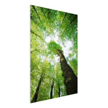 Quadro in forex - Trees Of Life - Verticale 3:4