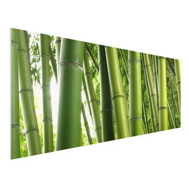 Quadro in forex - Bamboo Trees No.1 - Panoramico