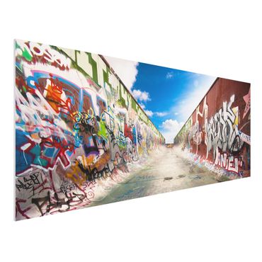 Quadro in forex - Skate Graffiti - Panoramico