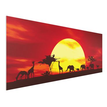 Quadro in forex - Sunset Caravan - Panoramico