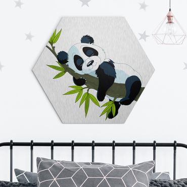 Esagono in Alluminio Dibond - Sleeping Panda