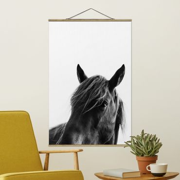 Foto su tessuto da parete con bastone - Cavallo curioso - Verticale 3:2