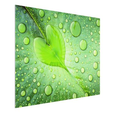 Quadro in forex - Heart Of Morning Dew - Orizzontale 4:3