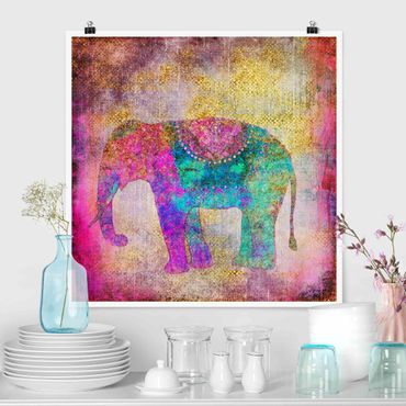 Poster - Colorato collage - Elefante indiano - Quadrato 1:1