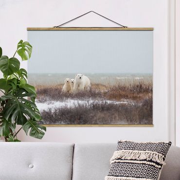 Foto su tessuto da parete con bastone - Orso polare e suoi cuccioli - Orizzontale 3:4
