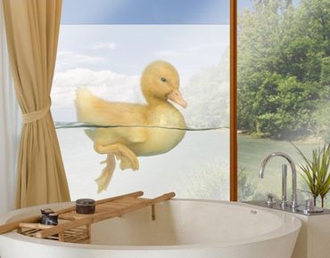 Adesivi per finestre Duckling II