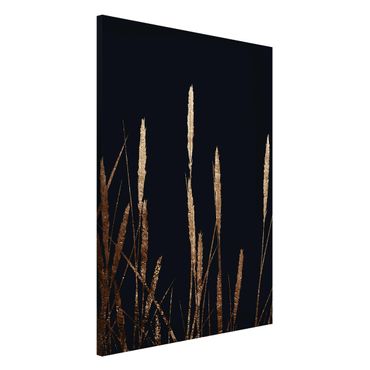 Lavagna magnetica - Mondo vegetale grafico - Canneto dorato