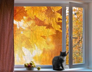 Decorazione per finestre Autumn Leaves