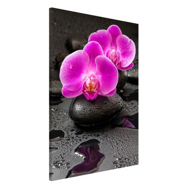 Lavagna magnetica - Pink Orchid Fiori Sulle Pietre Con Le Gocce - Formato verticale 2:3