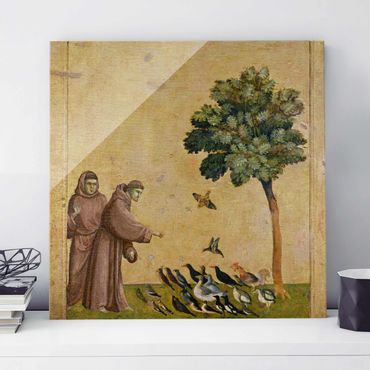 Quadro su vetro - Giotto di Bondone - St. Francis addressing the Birds - Quadrato 1:1