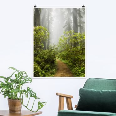 Poster - Percorso Misty Foresta - Verticale 4:3