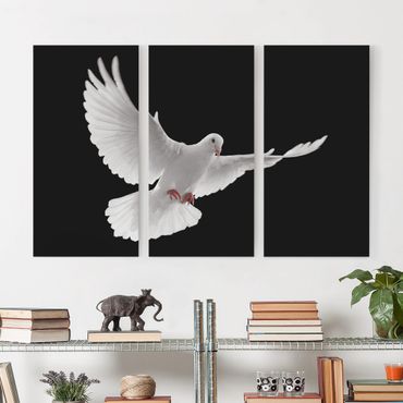 Stampa su tela 3 parti - Dove Of Peace - Verticale 2:1