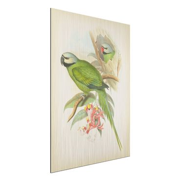 Stampa su alluminio spazzolato - Illustrazione Vintage Tropical Birds II - Verticale 4:3