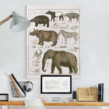 Stampa su tela - Vintage Consiglio elefanti, zebre e Rhino - Verticale 4:3