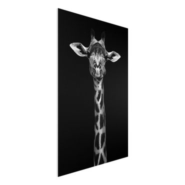 Quadro in forex - Scuro Giraffe Portrait - Verticale 2:3