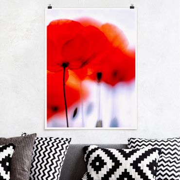 Poster - Magia Poppies - Verticale 4:3