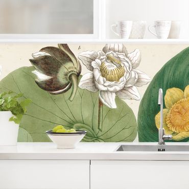 Rivestimento cucina - Illustrazione Vintage Whitewater Lily
