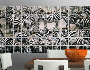 Adesivo per piastrelle - Zebra herd