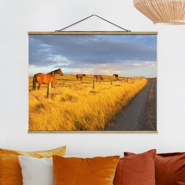 Foto su tessuto da parete con bastone - Field Road e cavallo in Evening Sun - Orizzontale 3:4