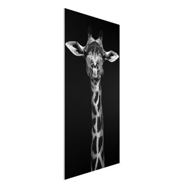 Quadro in forex - Scuro Giraffe Portrait - Verticale 1:2
