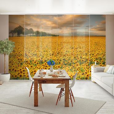 Tende scorrevoli set - Field With Sunflowers