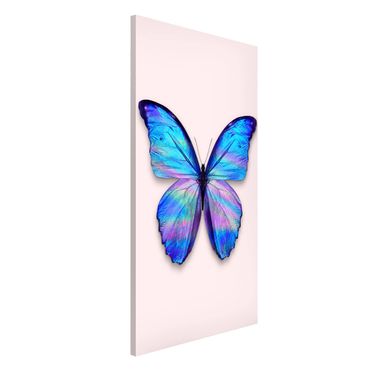 Lavagna magnetica - Holographic farfalla - Formato verticale 4:3