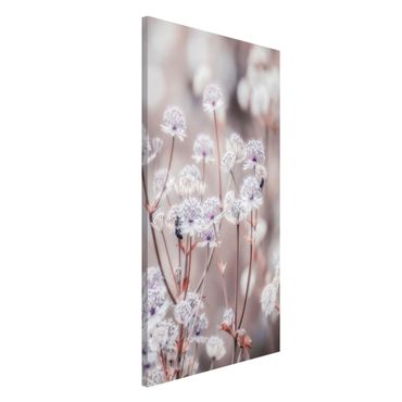 Lavagna magnetica - Leggeri fiori selvatici