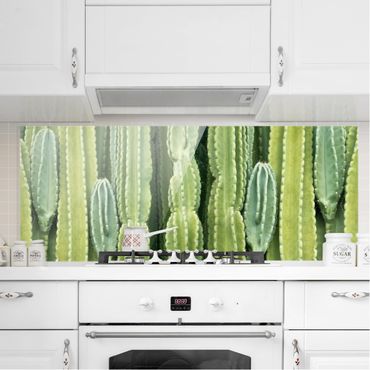 Paraschizzi in vetro - Cactus Wall