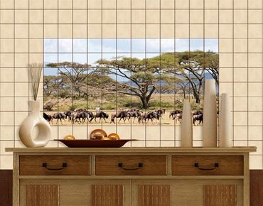 Adesivo per piastrelle - Herd of wildebeest in the savannah