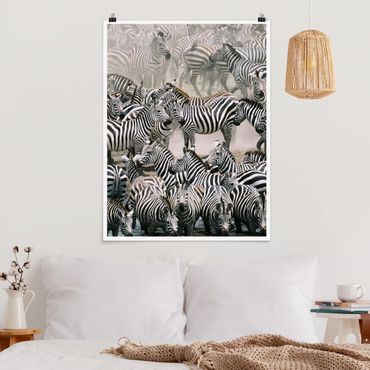Poster - Zebra Herd - Verticale 4:3