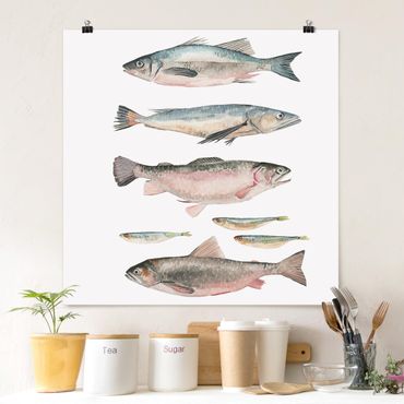 Poster - Seven Fish in acquerello I - Quadrato 1:1