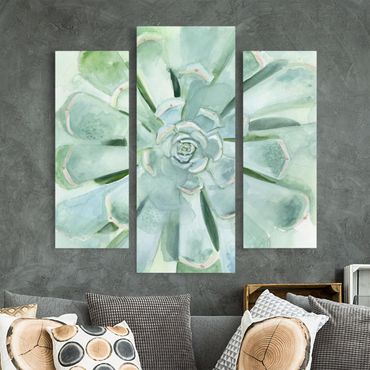 Stampa su tela - Succulente Acquerello brillante - Trittico da galleria